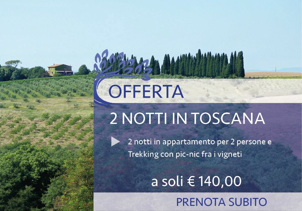 Offerta Fine Settembre in Toscana
Con Trekking fra i Vigneti